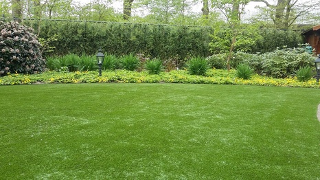 Kunstgras in Eindhoven